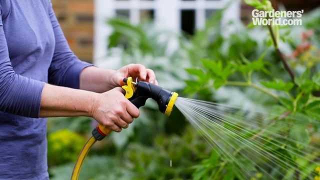 The best garden hose spray guns in 2026 | BBC Gardeners World Magazine